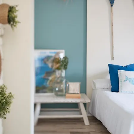 Vestal Classic Cambrils